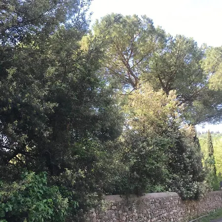 Appartamento Elegante E Spazioso Bilocale In Zona Certosa *